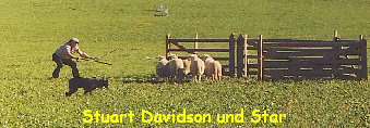 Stuart Davidson und Star